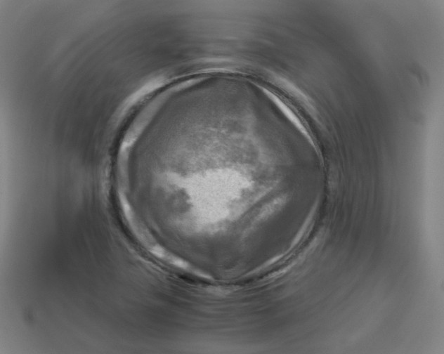 X0000113751411200910141016