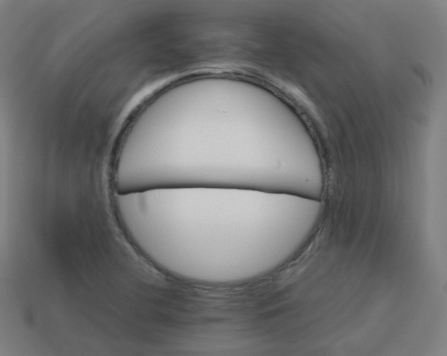 X0000113751412200910141016