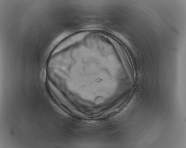 X0000113751413200910141016