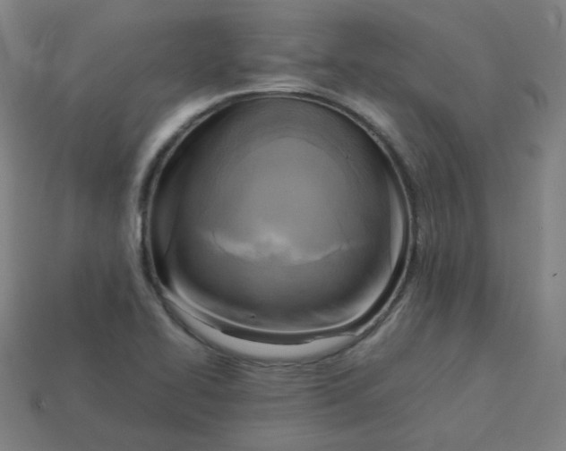 X0000113751414200910141016