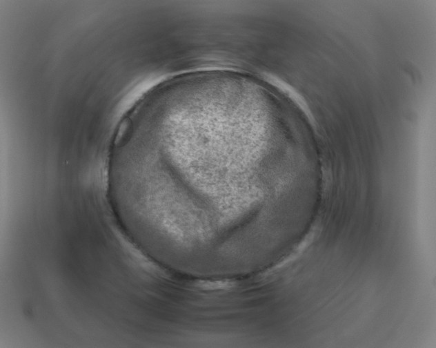 X0000113751415200910141016