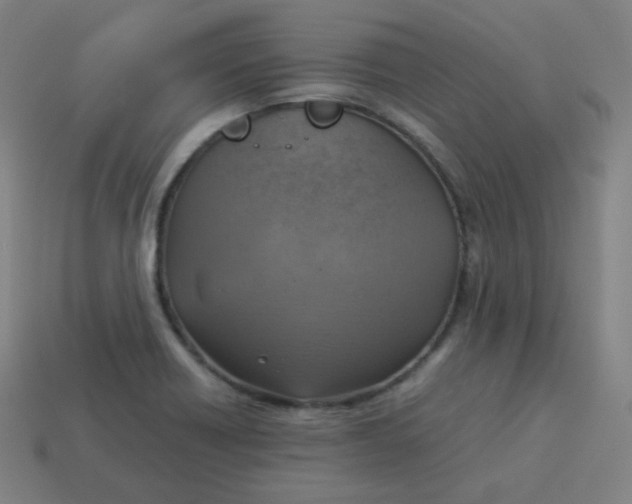 X0000113751418200910141016