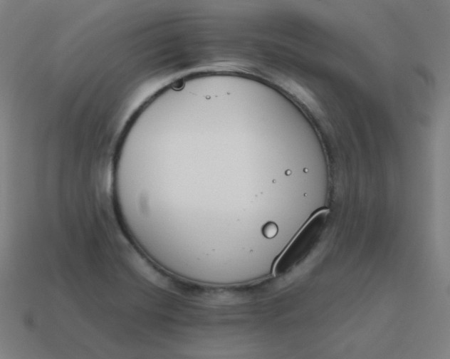 X0000113751420200910141016