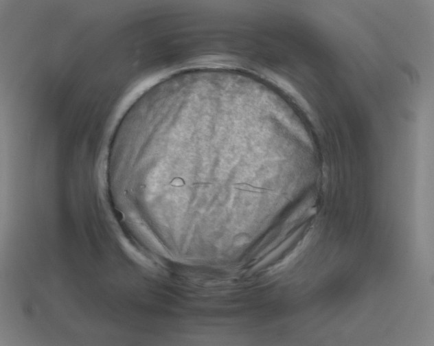 X0000113751421200910141016