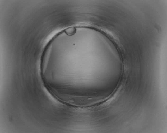 X0000113751422200910141016