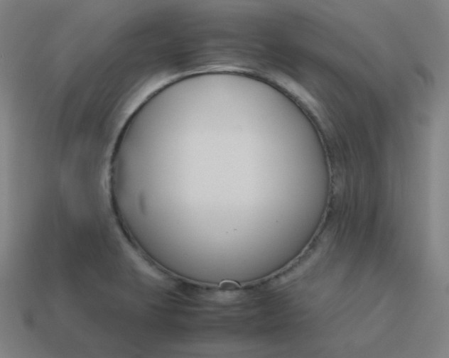 X0000113751423200910141016