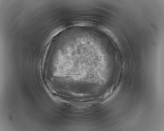 X0000113751425200910141016