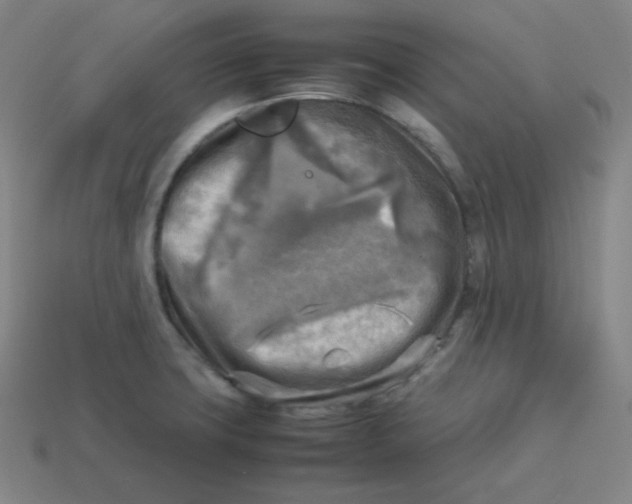 X0000113751427200910141016