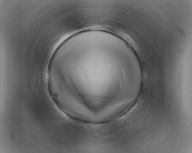 X0000113751428200910141016