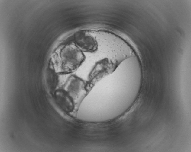 X0000113751429200910141016