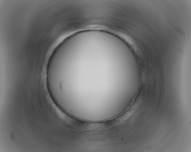 X0000113751430200910141016