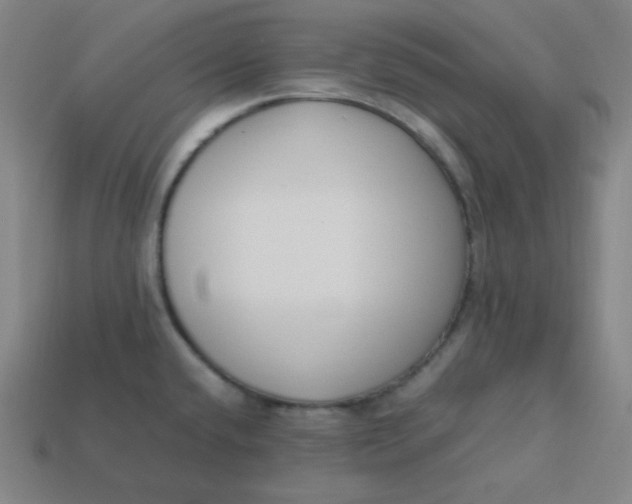 X0000113751432200910141016