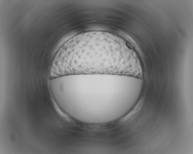 X0000113751433200910141017