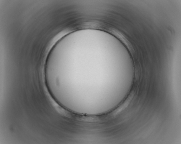 X0000113751434200910141017