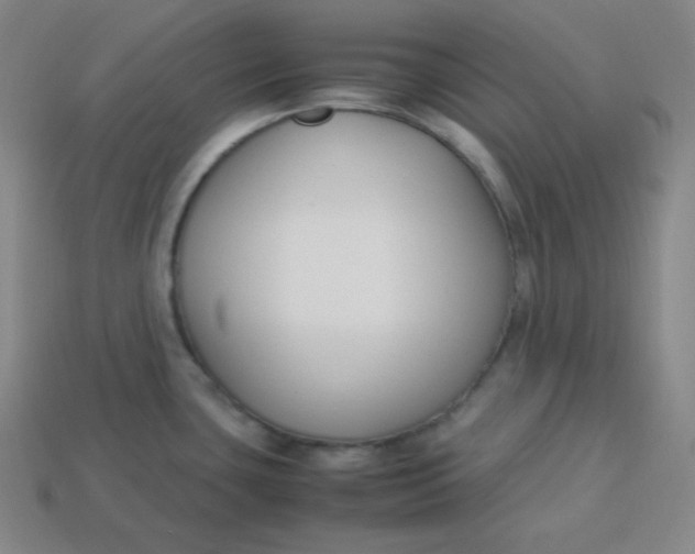 X0000113751435200910141017