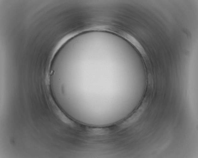 X0000113751436200910141017