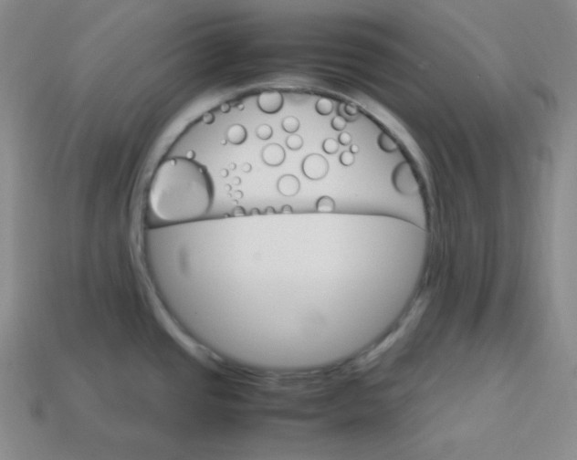 X0000113751437200910141017