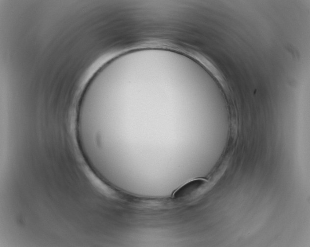 X0000113751438200910141017