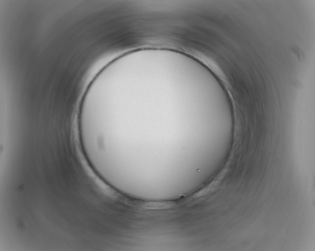 X0000113751440200910141017