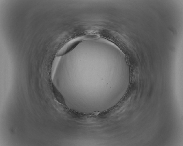 X0000113751441200910141016