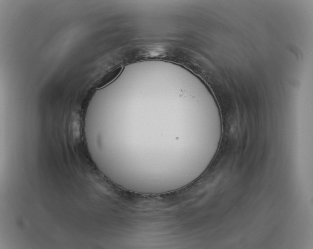 X0000113751442200910141016