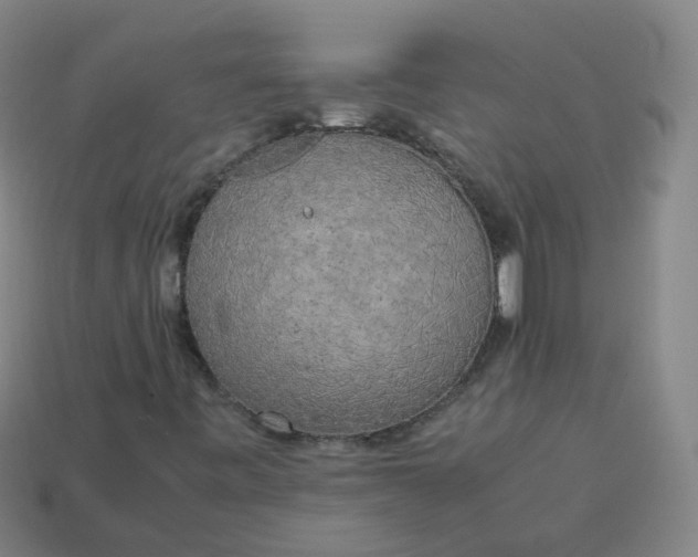 X0000113751443200910141016