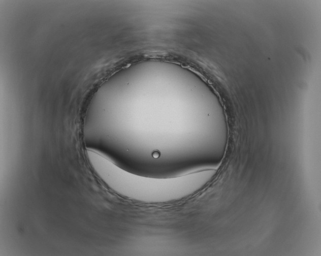 X0000113751445200910141016