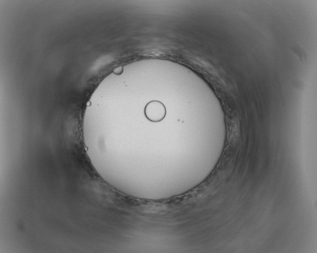 X0000113751446200910141016