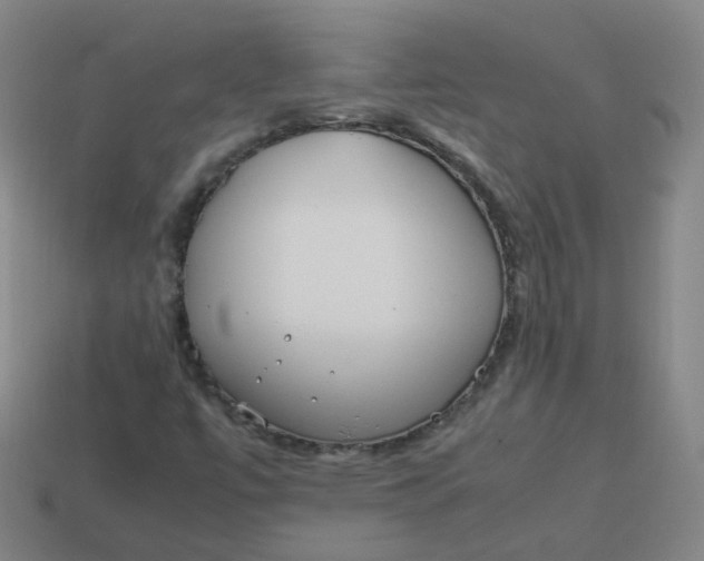 X0000113751447200910141016