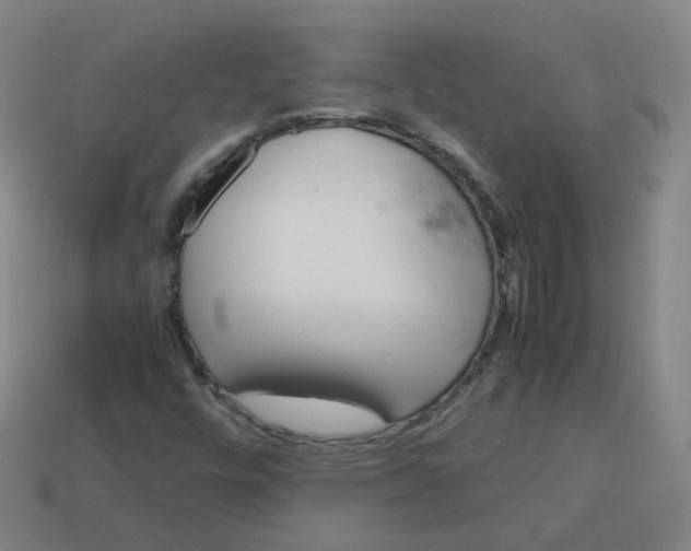 X0000113751448200910141016