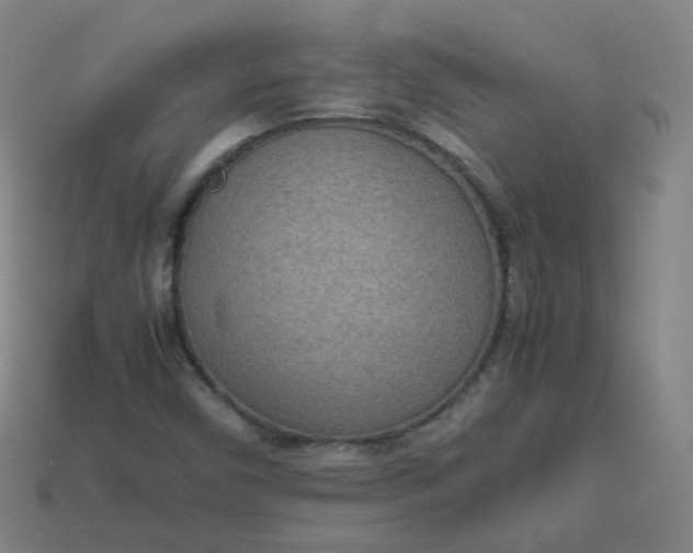 X0000113751450200910141016