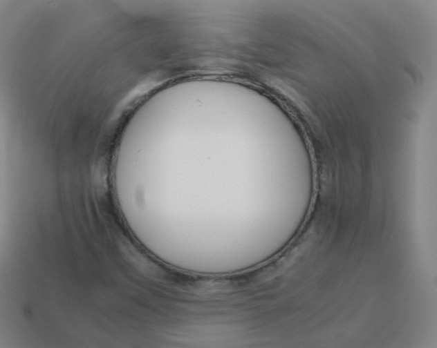 X0000113751451200910141016