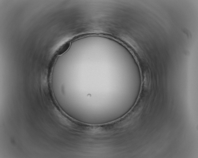 X0000113751452200910141016