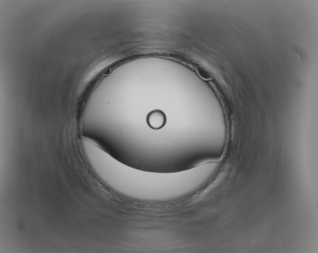 X0000113751453200910141016