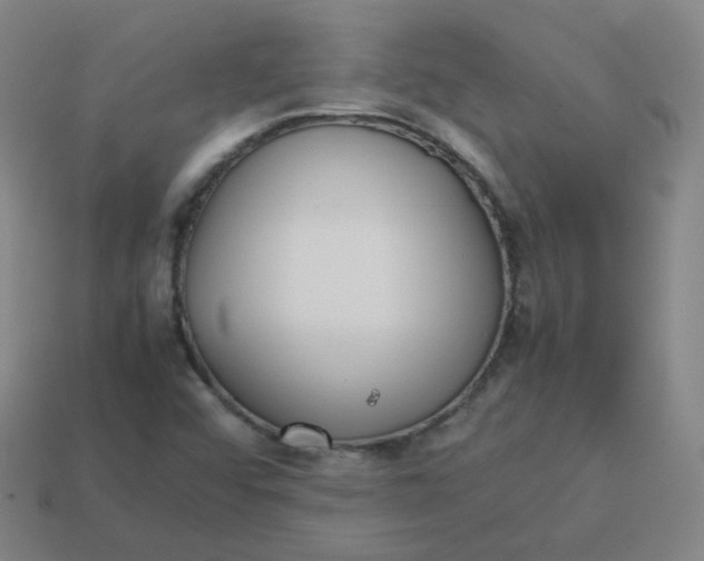 X0000113751456200910141016