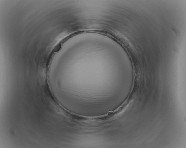 X0000113751457200910141016