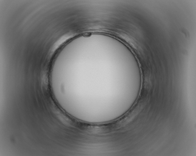 X0000113751458200910141016