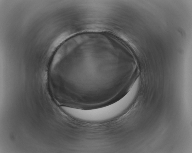 X0000113751459200910141016