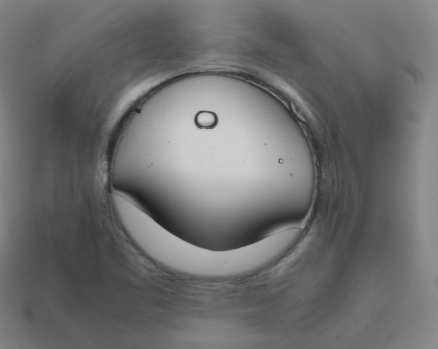 X0000113751461200910141016