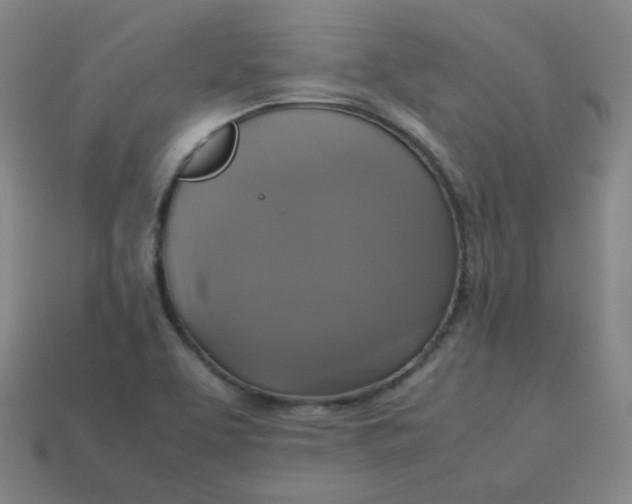 X0000113751463200910141016