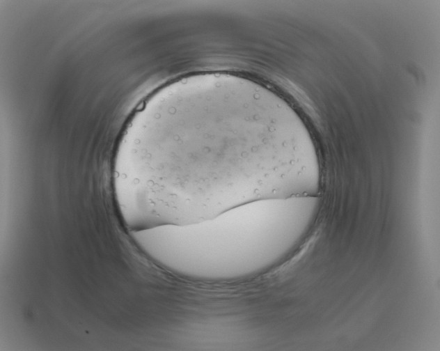 X0000113751465200910141015