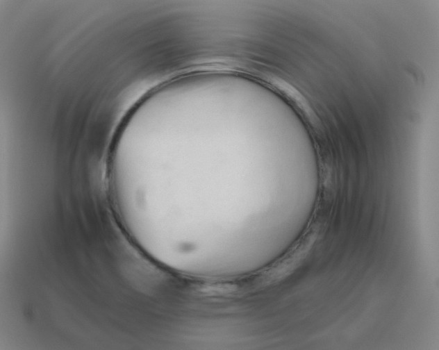 X0000113751466200910141015