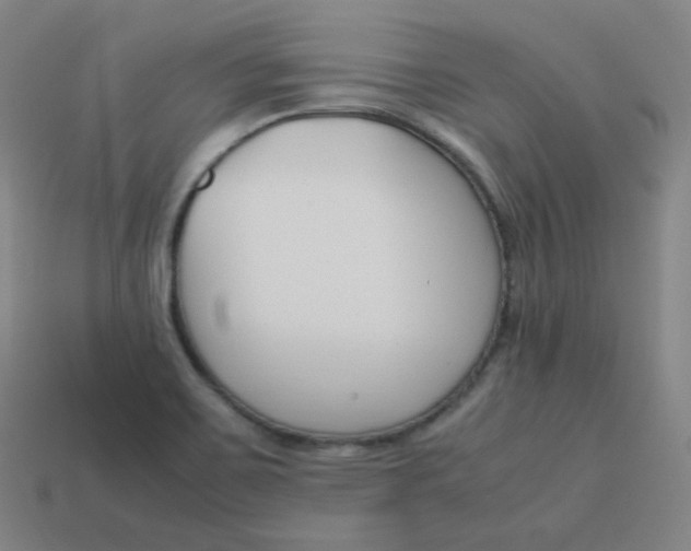 X0000113751467200910141015