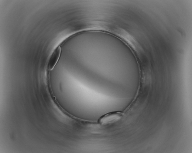 X0000113751468200910141015