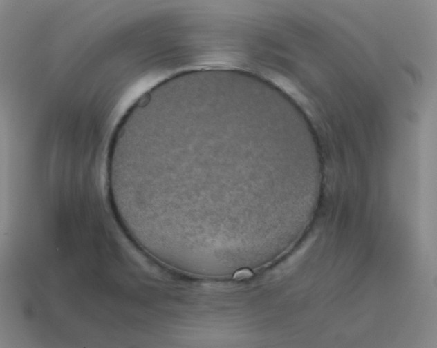 X0000113751469200910141015