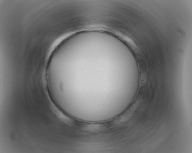 X0000113751470200910141015