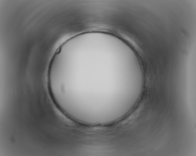 X0000113751471200910141015