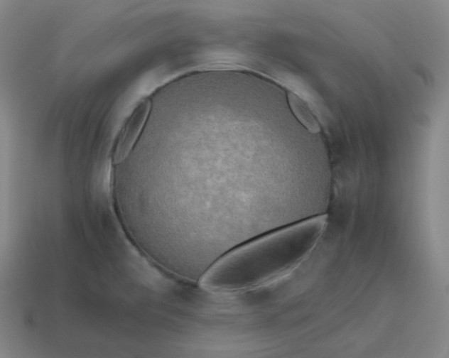 X0000113751472200910141015