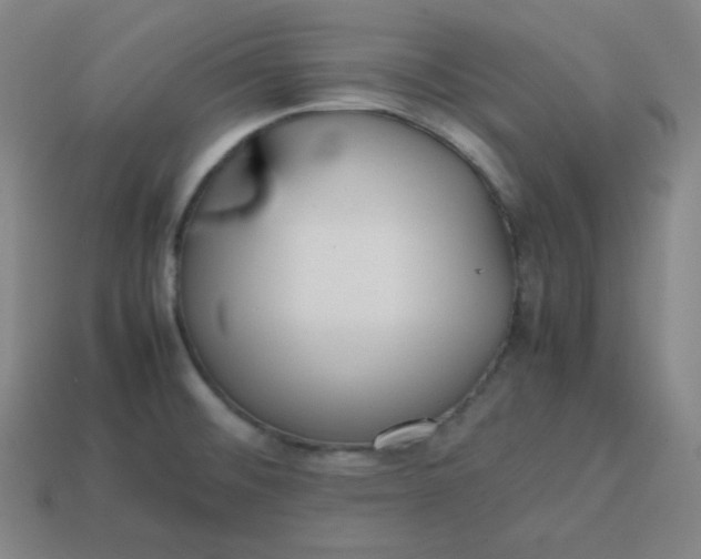 X0000113751476200910141015