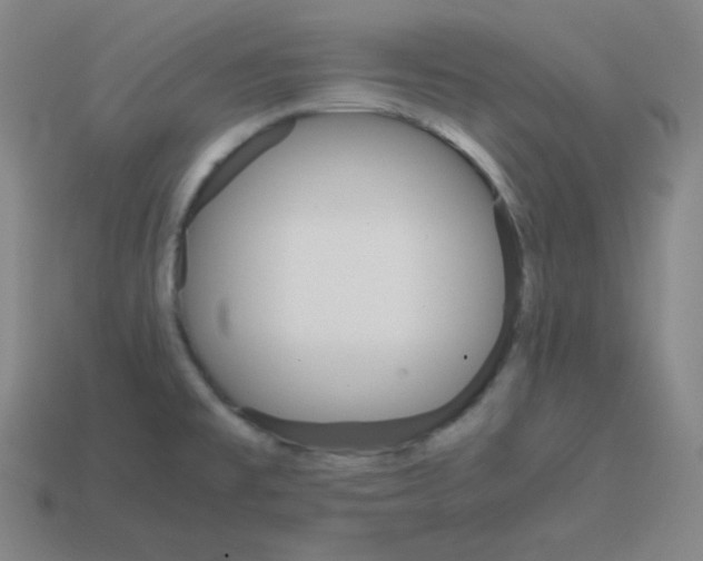 X0000113751477200910141015